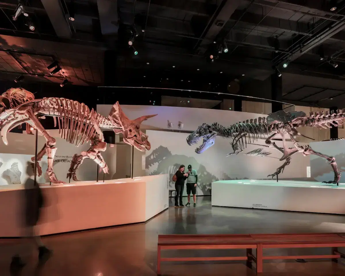Musée des sciences naturelles de Houston